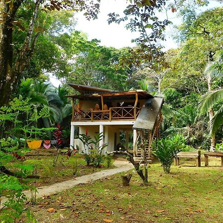 Green Corner Cahuita Exterior photo