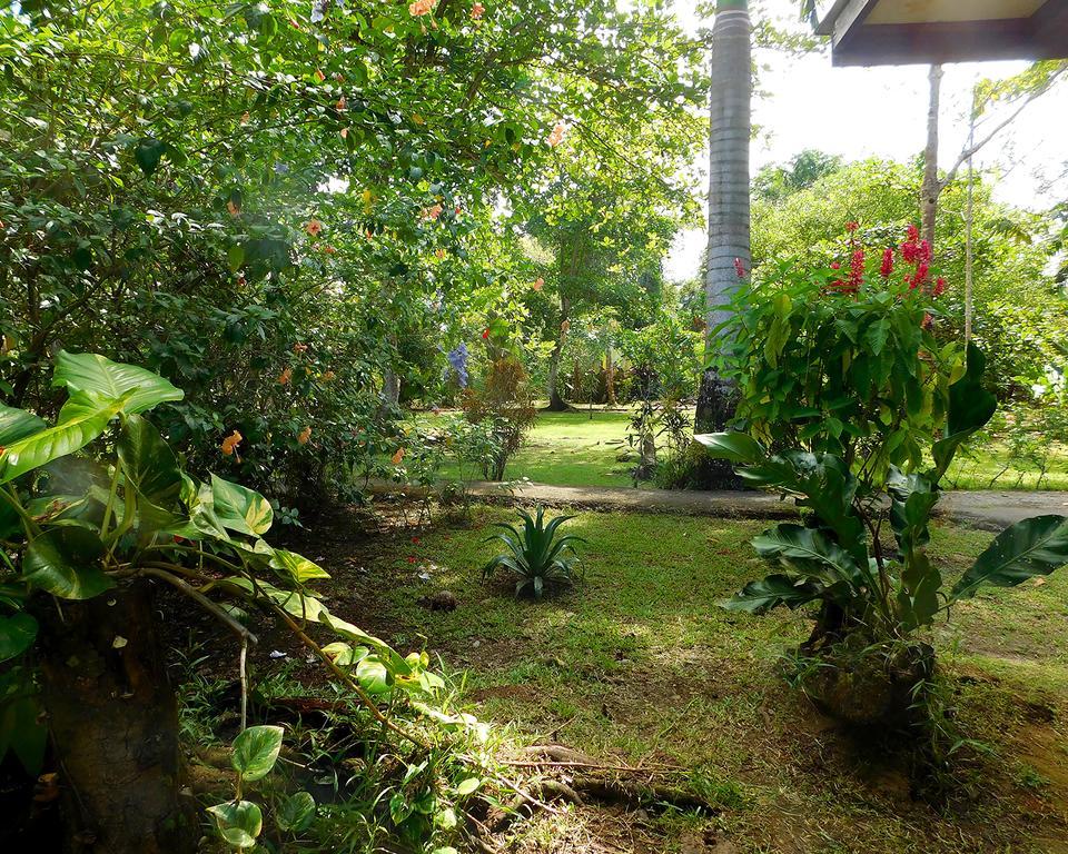 Green Corner Cahuita Exterior photo
