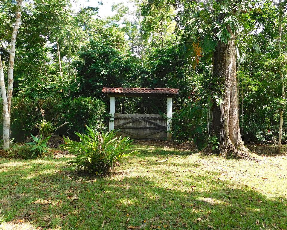 Green Corner Cahuita Exterior photo
