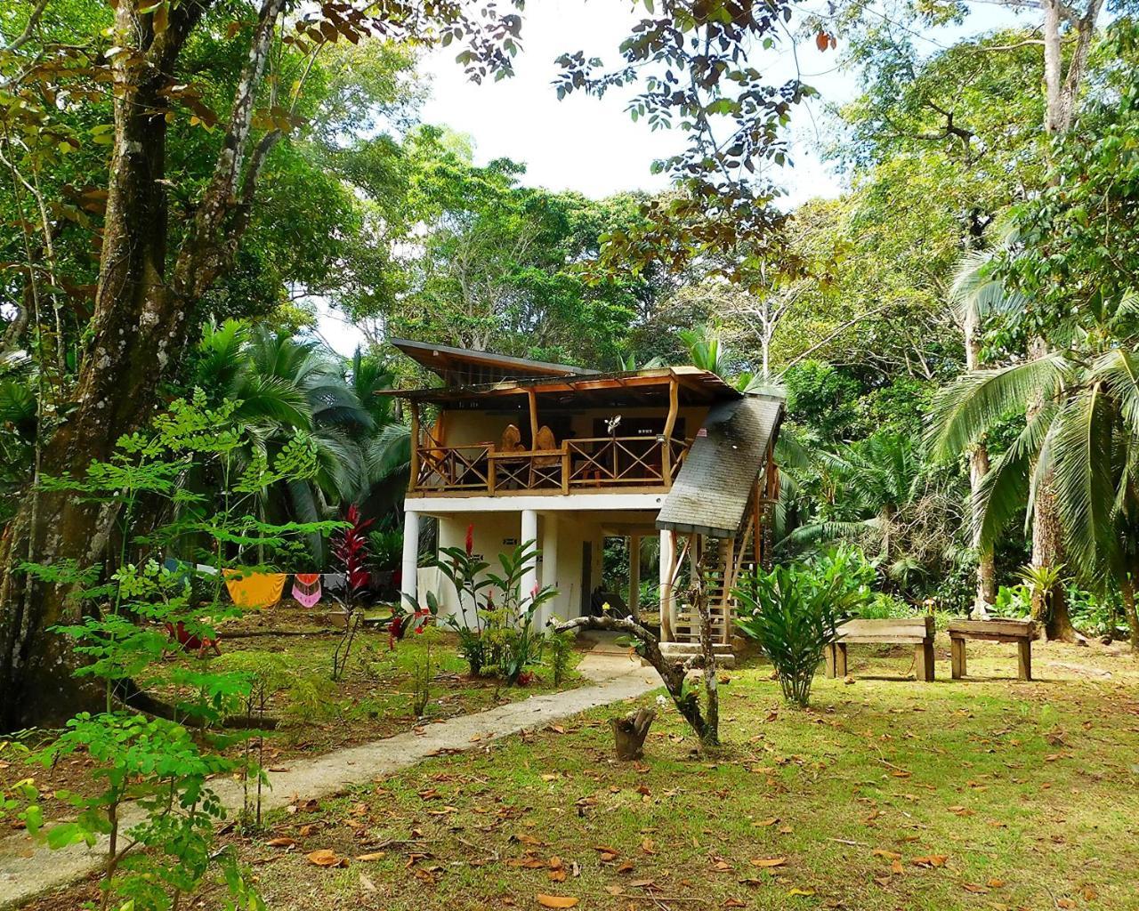 Green Corner Cahuita Exterior photo